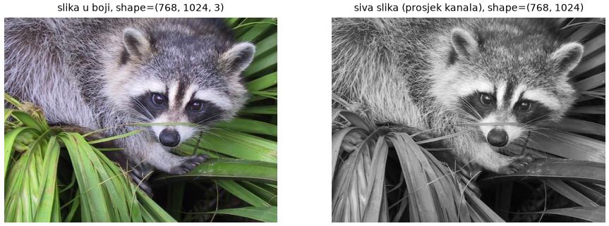 Slika rakuna u boji i siva slika.